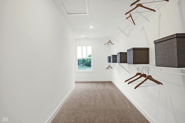 spacious closet with attic access and carpet floors