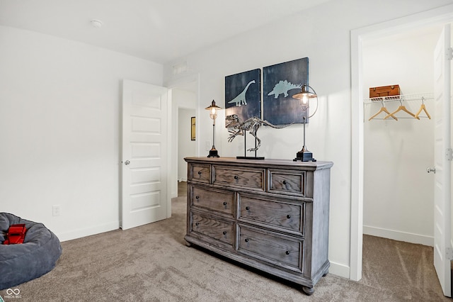 interior space featuring a spacious closet, baseboards, and carpet floors