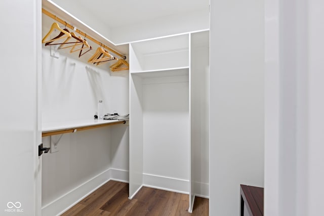 1333 Chatham Rdg Ct, Westfield, IN 46074 - walk in closet with dark wood finished floors
