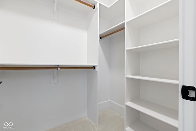 1333 Chatham Rdg Ct, Westfield, IN 46074 - walk in closet featuring carpet