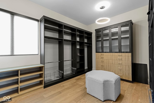 1333 Chatham Rdg Ct, Westfield, IN 46074 - spacious closet featuring light wood-type flooring