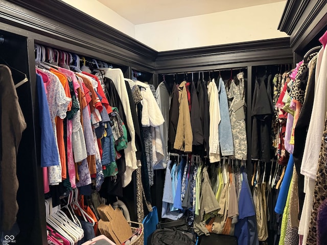view of walk in closet