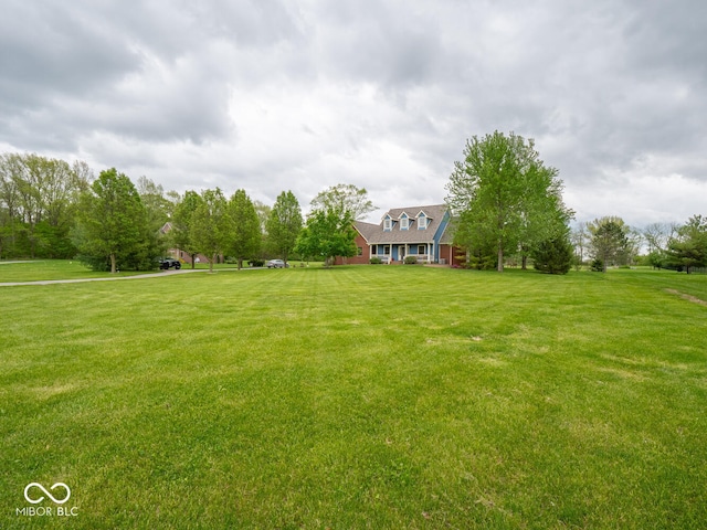 view of grassy yard