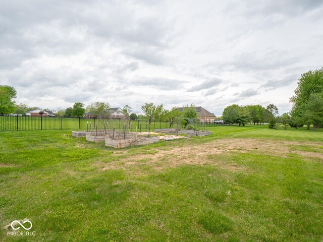 view of yard featuring a garden