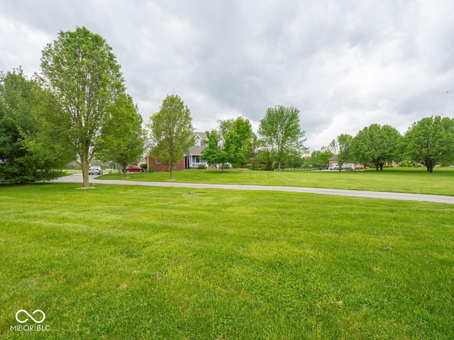 view of grassy yard