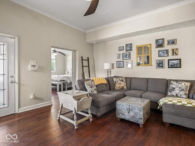 living room featuring crown molding, ceiling fan, baseboards, and hardwood / wood-style floors