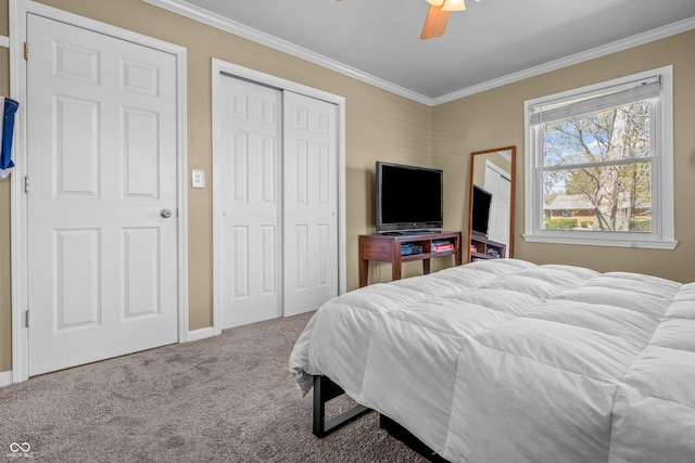 carpeted bedroom featuring a closet, a ceiling fan, and ornamental molding