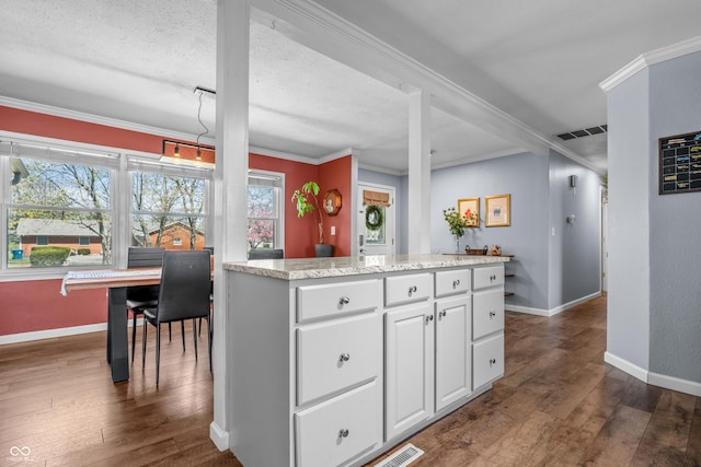 kitchen featuring dark wood finished floors, visible vents, and plenty of natural light