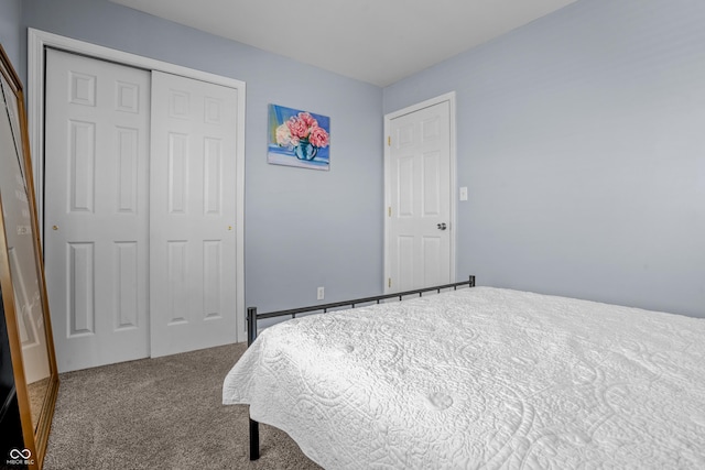 bedroom with carpet flooring and a closet