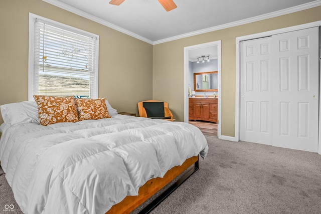 bedroom featuring crown molding, carpet floors, ceiling fan, and multiple windows