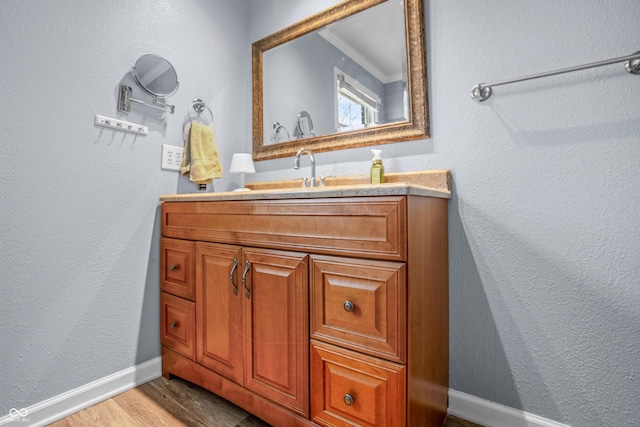 bathroom featuring baseboards, vanity, and wood finished floors
