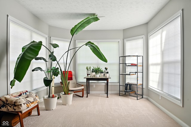 living area with carpet floors, baseboards, and a textured ceiling