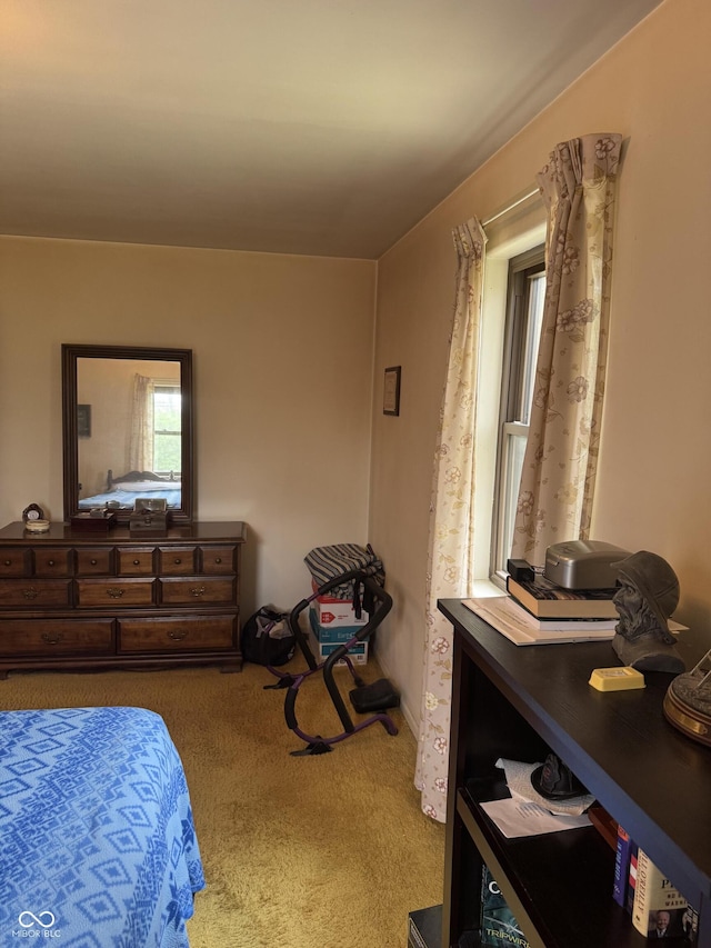 bedroom with carpet floors