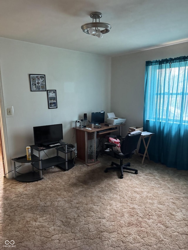 view of carpeted office space