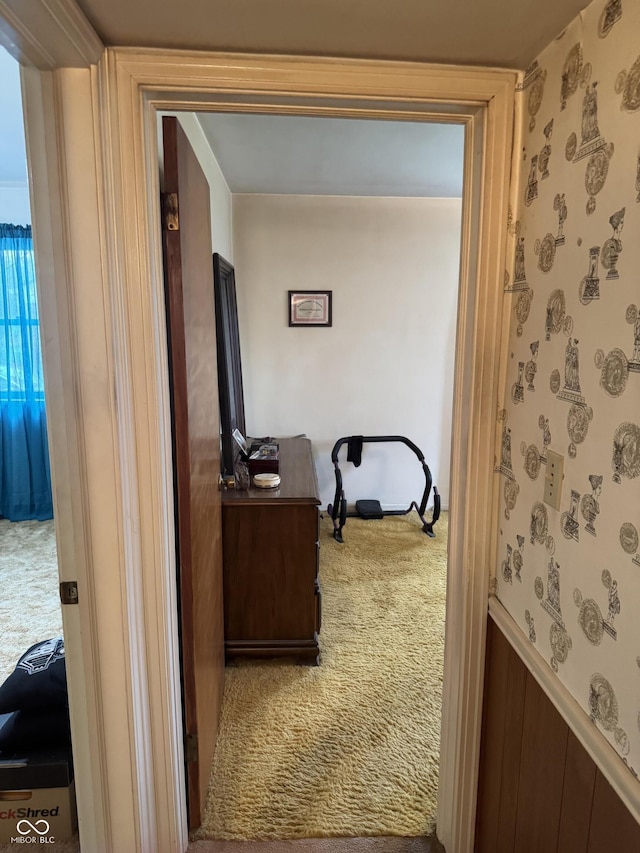 hall featuring carpet floors