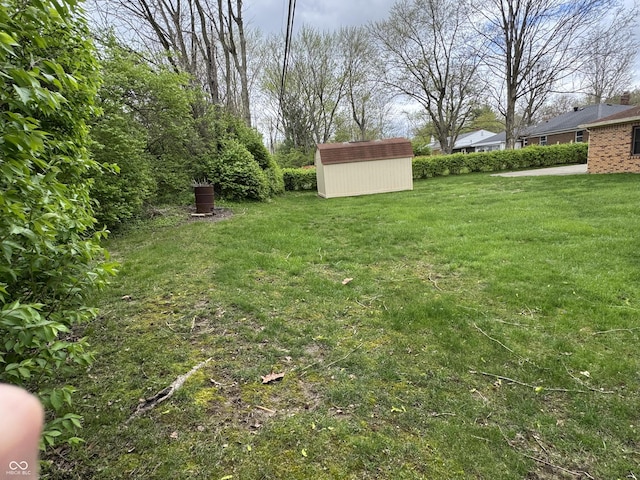 view of yard featuring a storage unit and an outdoor structure