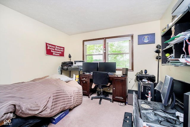 bedroom featuring a textured ceiling and carpet floors