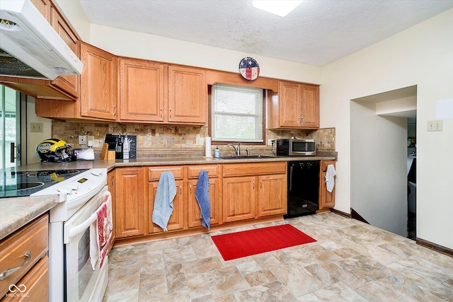 kitchen featuring under cabinet range hood, black dishwasher, a sink, stainless steel microwave, and white electric range oven