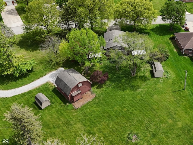 bird's eye view