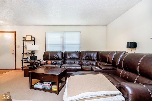 living room featuring carpet and a textured ceiling