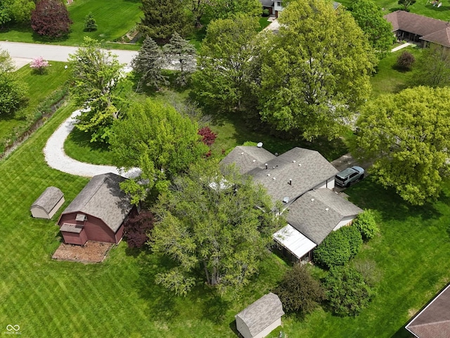 bird's eye view