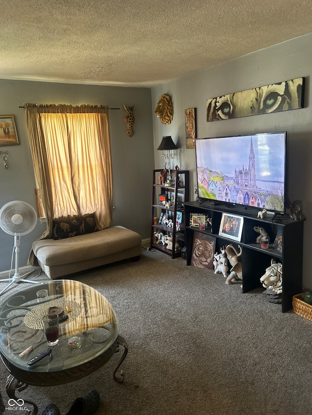 carpeted living area featuring a textured ceiling