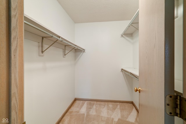 5839 Quail Run Dr, Indianapolis, IN 46237 - walk in closet with light carpet