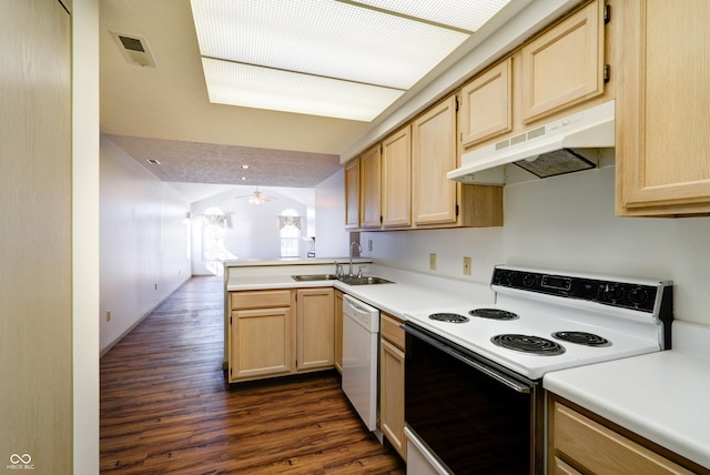 5839 Quail Run Dr, Indianapolis, IN 46237 - kitchen with electric range, a sink, light brown cabinets, dishwasher, and under cabinet range hood