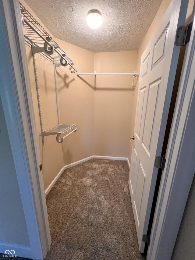 spacious closet featuring carpet