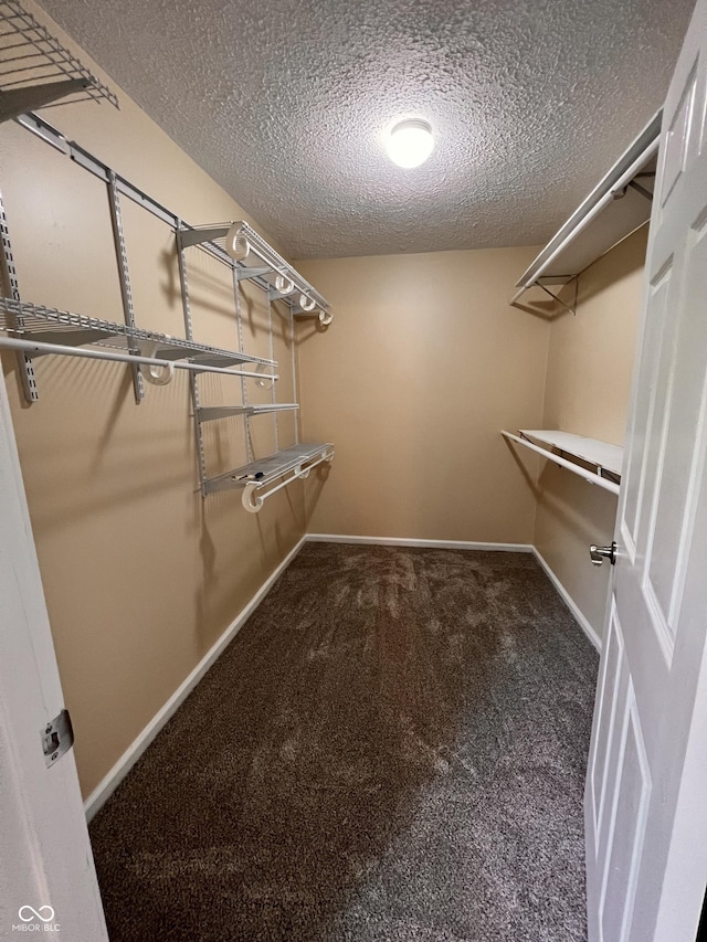 walk in closet featuring carpet