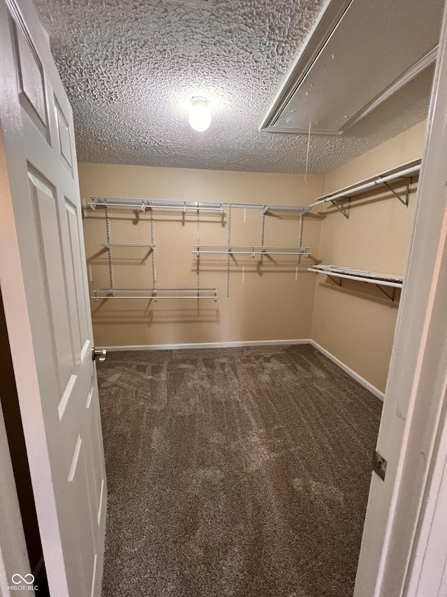walk in closet with attic access and carpet floors