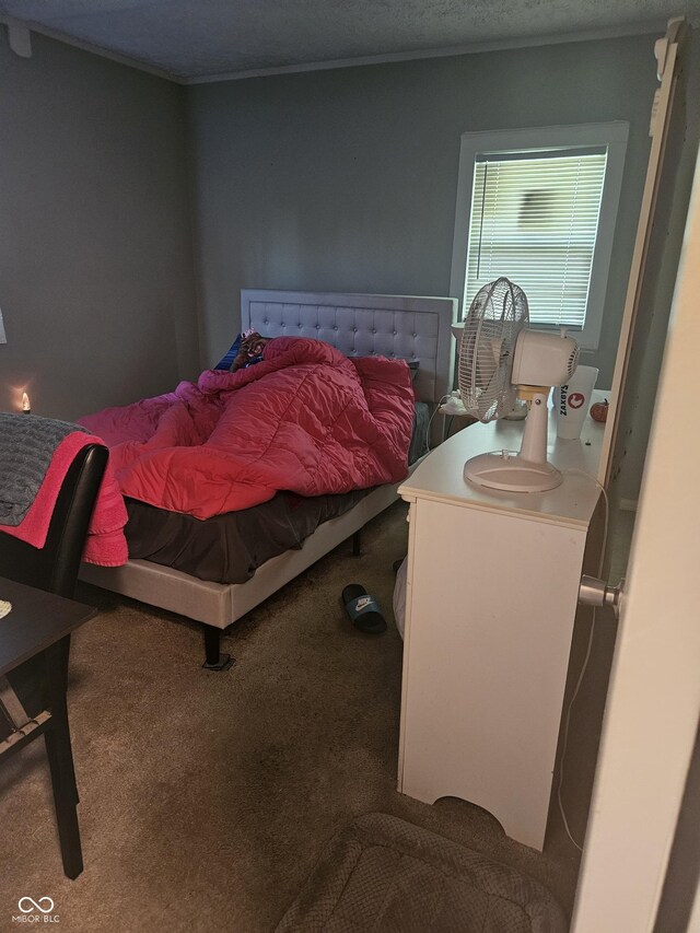 bedroom featuring carpet and ornamental molding