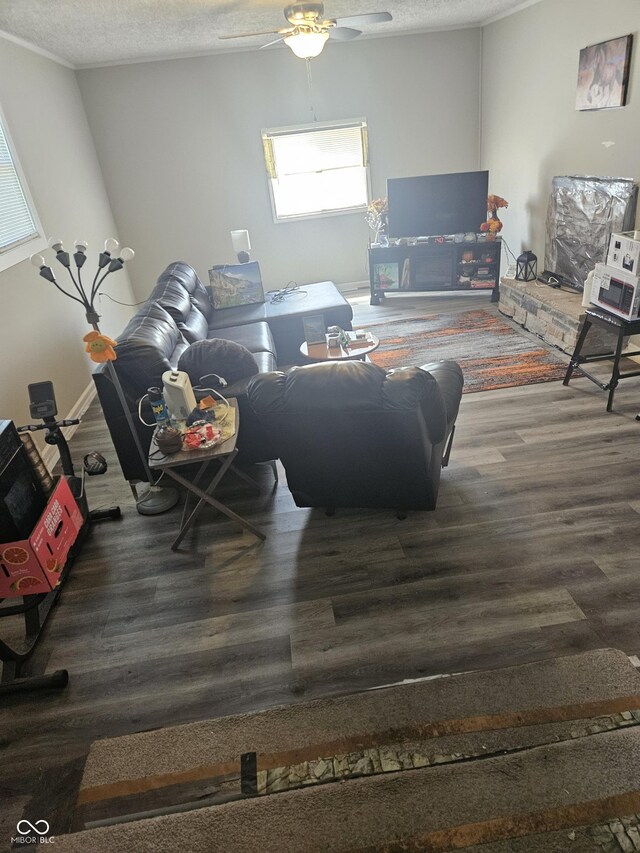 living room featuring wood finished floors, a textured ceiling, and a ceiling fan