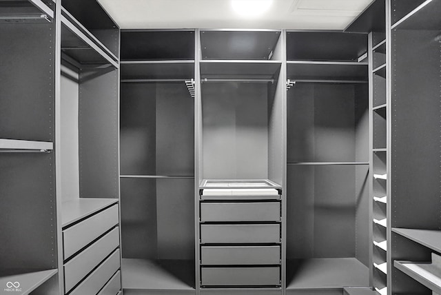 6827 Fallen Leaf Dr, Whitestown, IN 46075 - view of spacious closet
