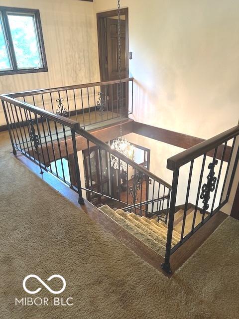 stairway featuring carpet