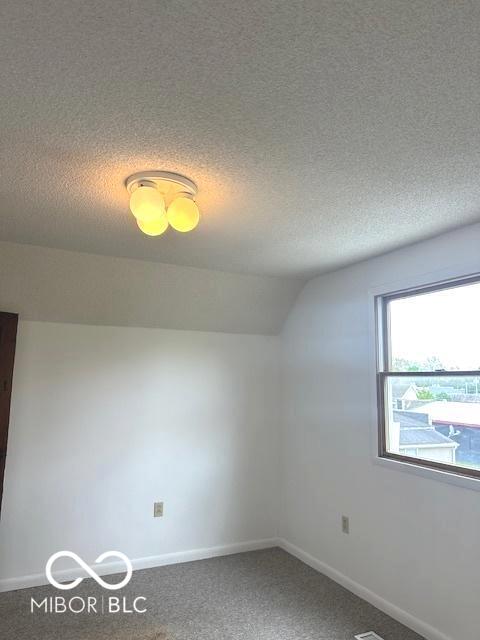 additional living space with lofted ceiling, carpet flooring, a textured ceiling, and baseboards