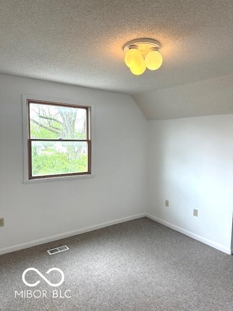 additional living space featuring a textured ceiling, carpet floors, baseboards, and visible vents