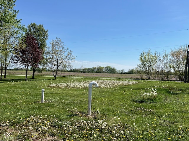 16975 S Truman St, Farmersburg, IN 47850 - photo 74