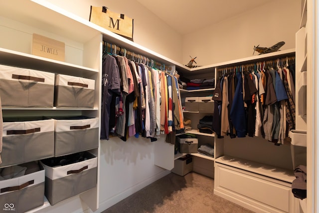 walk in closet with carpet flooring