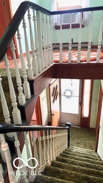 staircase featuring carpet floors