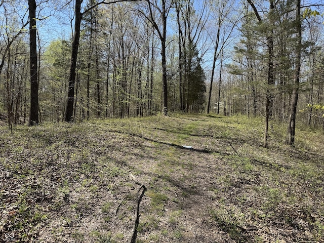 view of nature with a wooded view