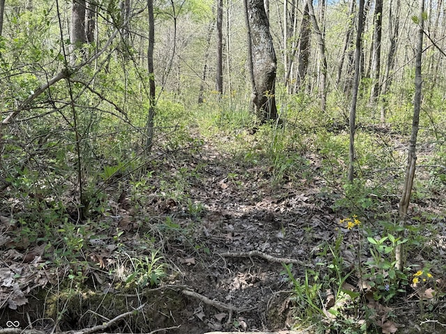 view of landscape with a wooded view