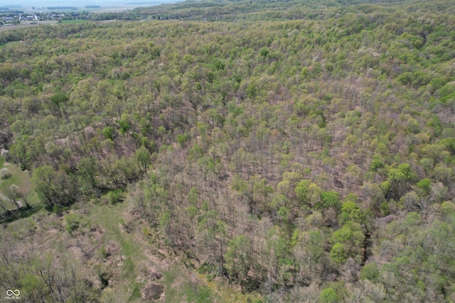 bird's eye view with a view of trees