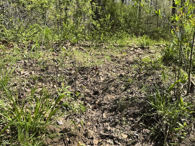 view of nature