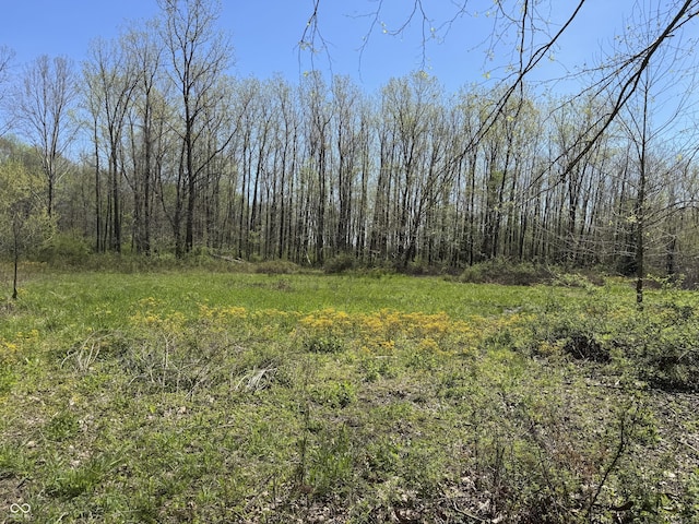 view of nature with a view of trees