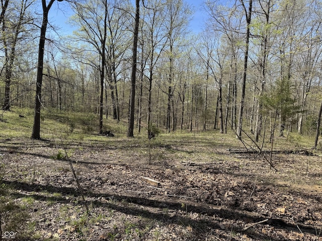 view of local wilderness with a view of trees