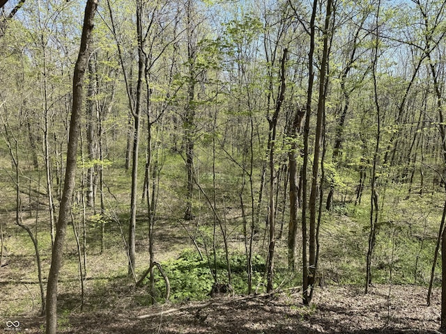view of local wilderness with a view of trees