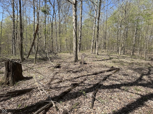 view of nature with a forest view