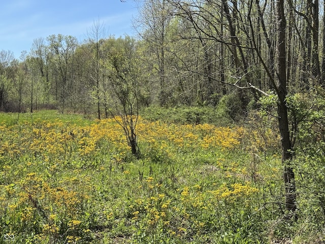 view of landscape featuring a wooded view