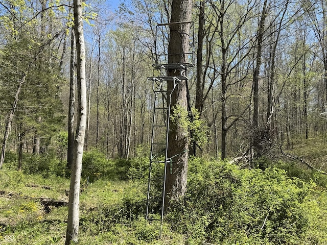 view of landscape with a view of trees